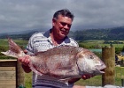 Another catch - Snapper