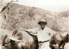 Gillie Erasmus with his "Afrikaner bull"