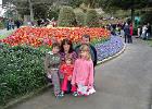 Andrews family at the Wellington Botanical Gardens 