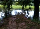 water over the divide from my side of the river to the neighbours - the river is 12 feet deep