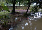 only a foot more to flood the road outside the farm