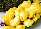 Jack fruit contents