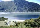 Okiwi Bay and our camp set up using the row of trees to the left as a wind break about mid 60's