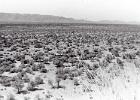 Our Camp during a visit to The Roaring Sand or "Brulsand" of the Kalahari