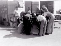 The gambling gang and on lookers at lunch time